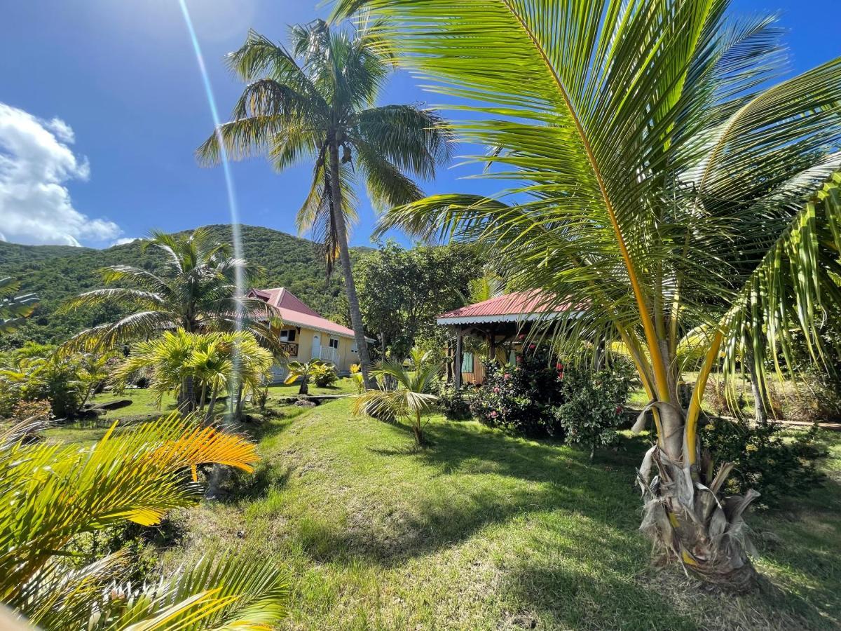 Residence Coco D'Iles, Gite Ti Bambou Terre-de-Bas Екстер'єр фото